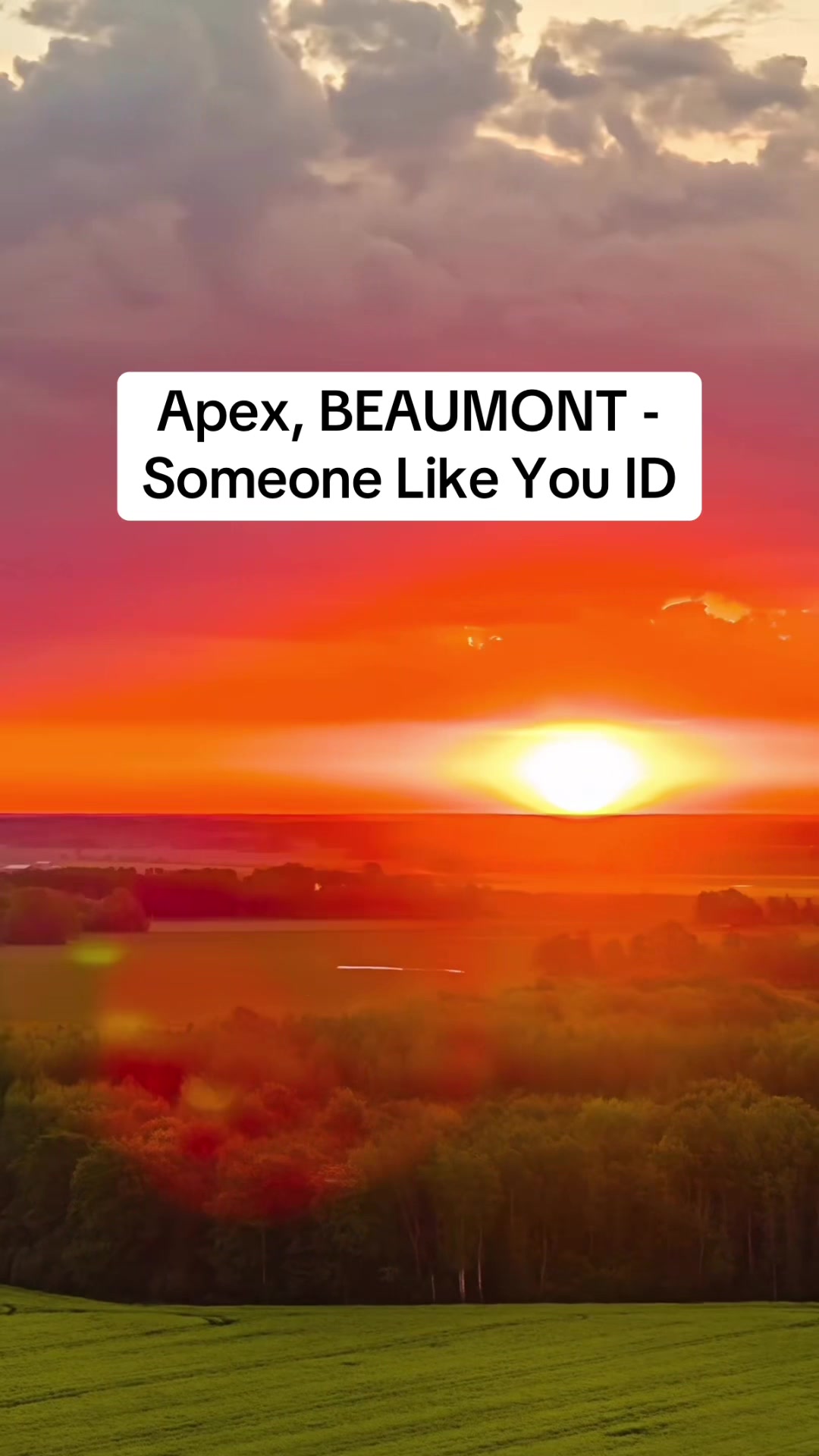@BeatPilot