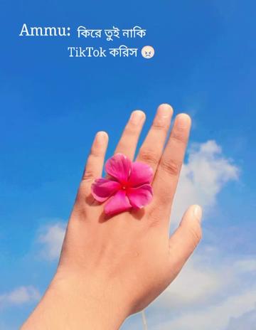 @Mim 🌷🌸