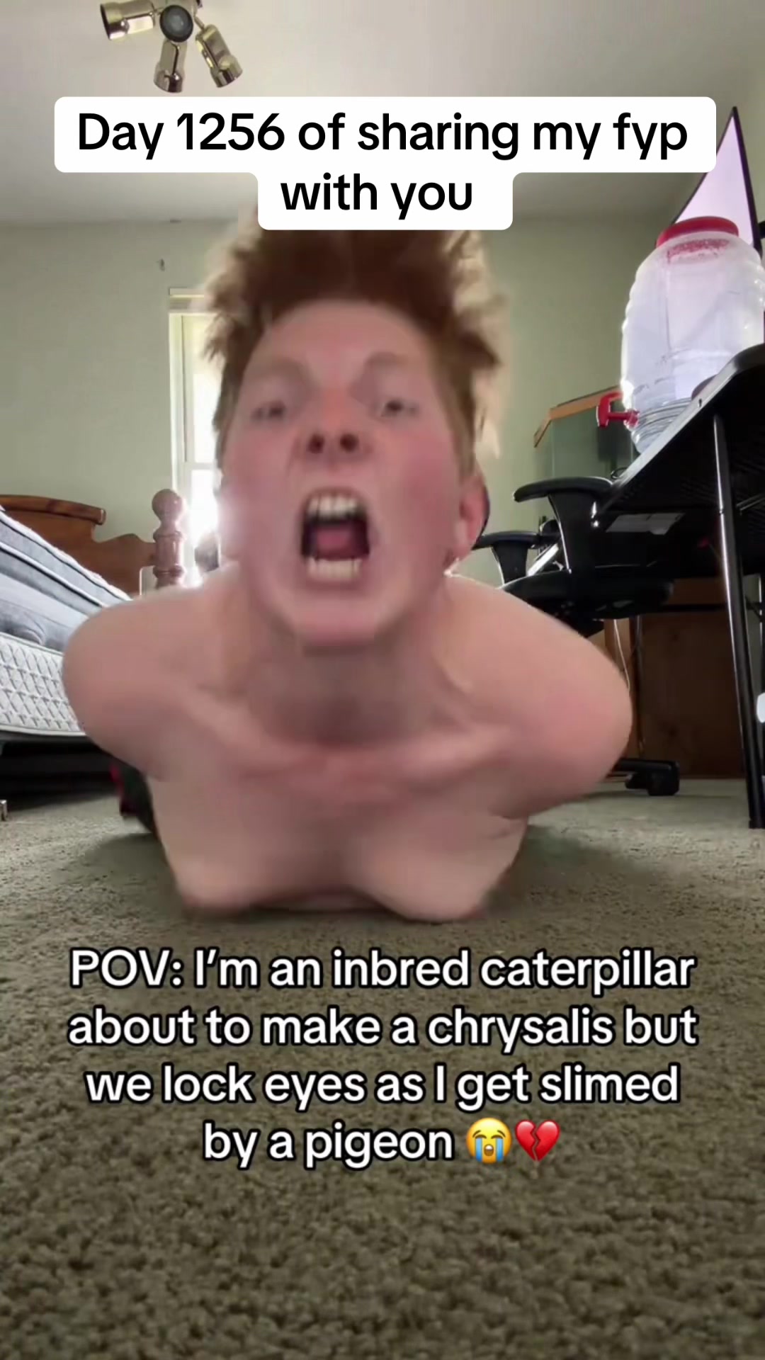 @Logan storey