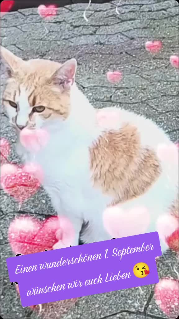 @Babsi