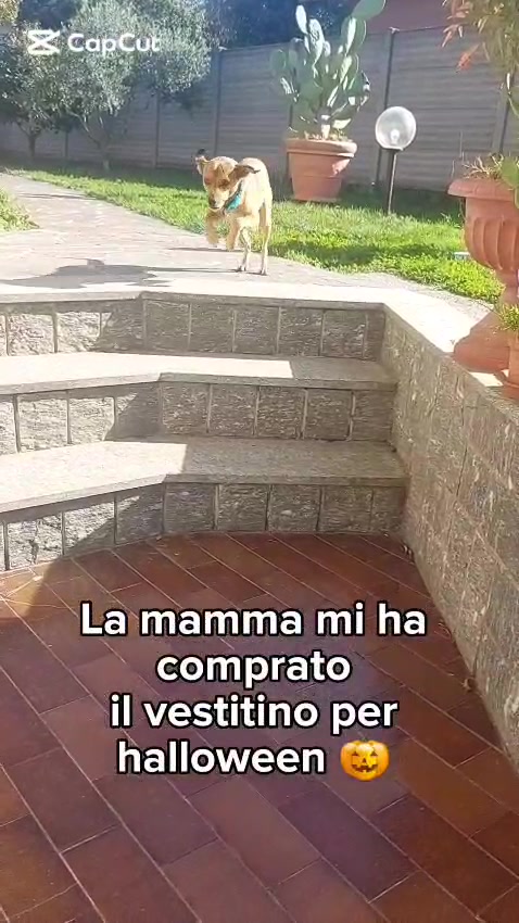 @Stefano