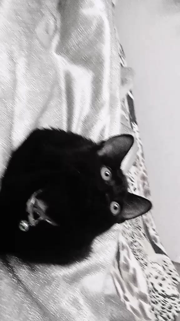 @h&eth;lɏm&eth;&dagger;h&ecirc;r