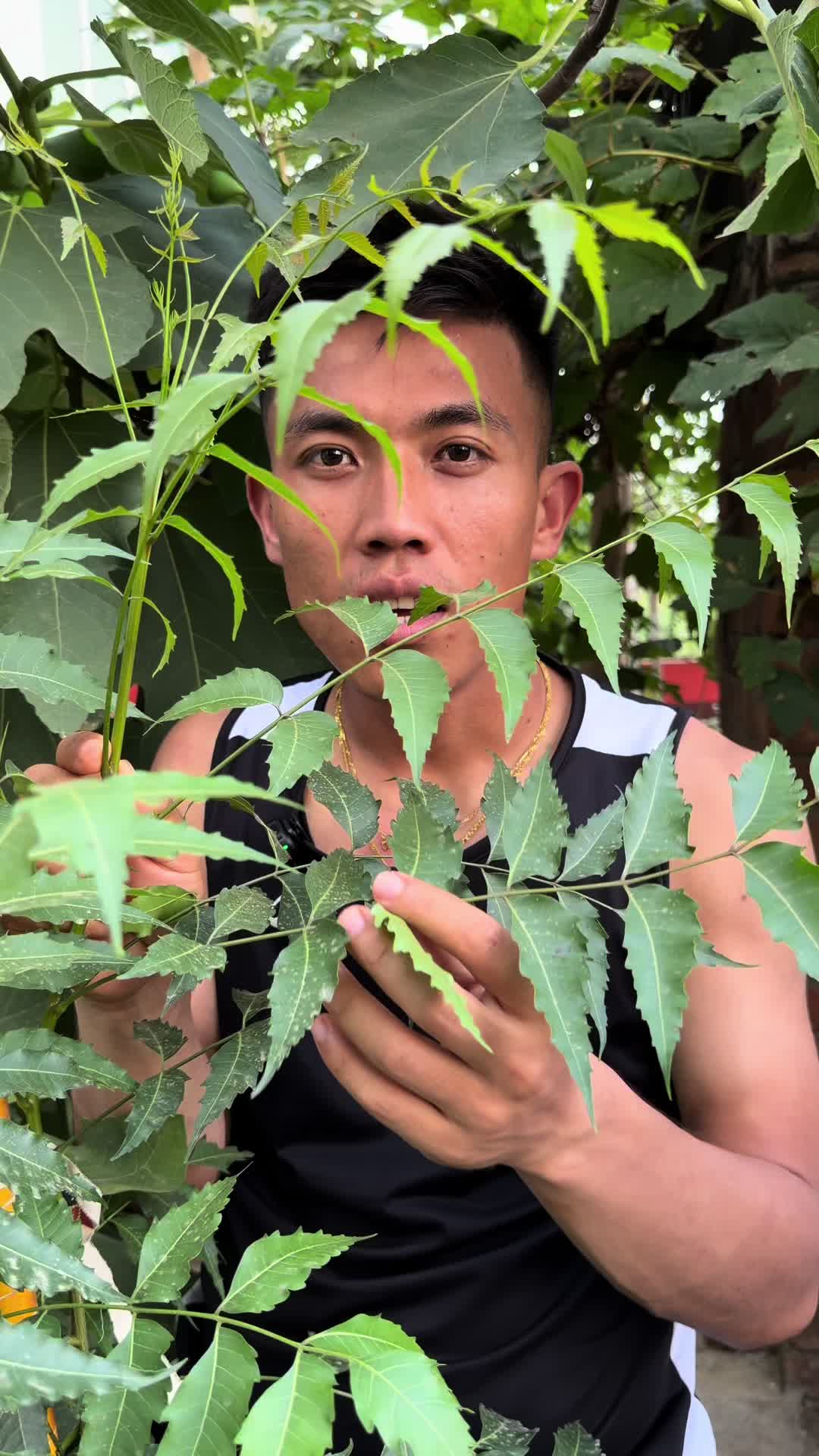 @alan.thapa.parody