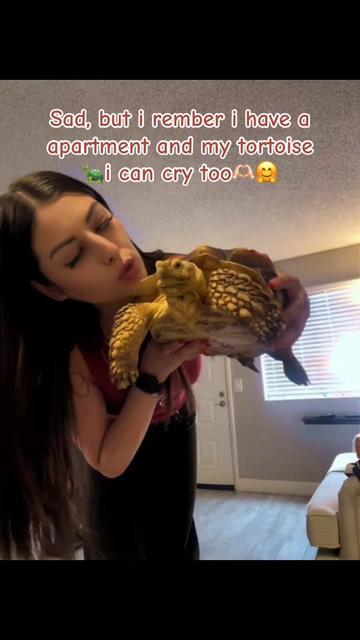@Damaris