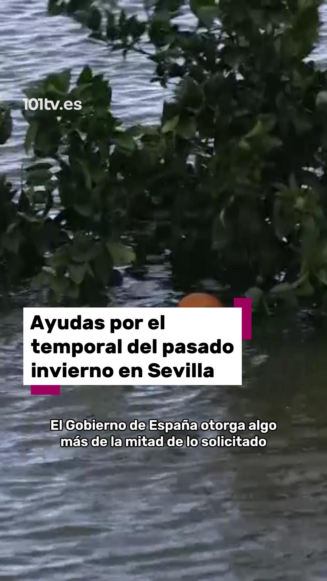 @101tv.es Sevilla