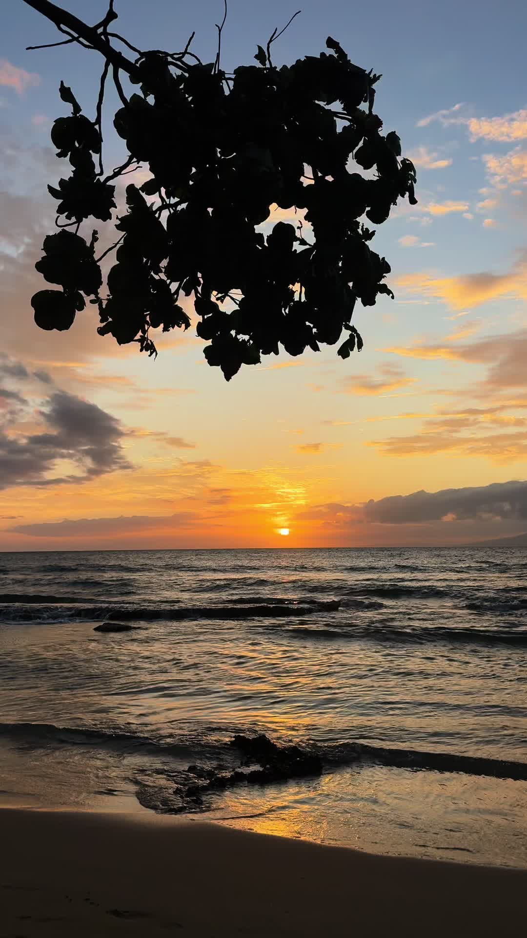 @Mauilani