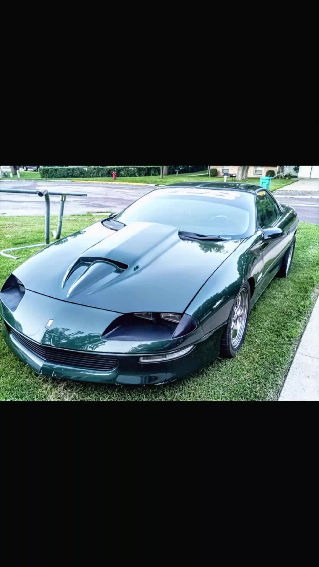 @NotJolene "The Terminator" 🦍