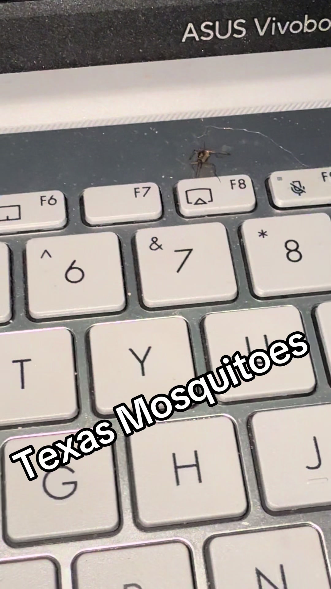 @rapunzelhtx