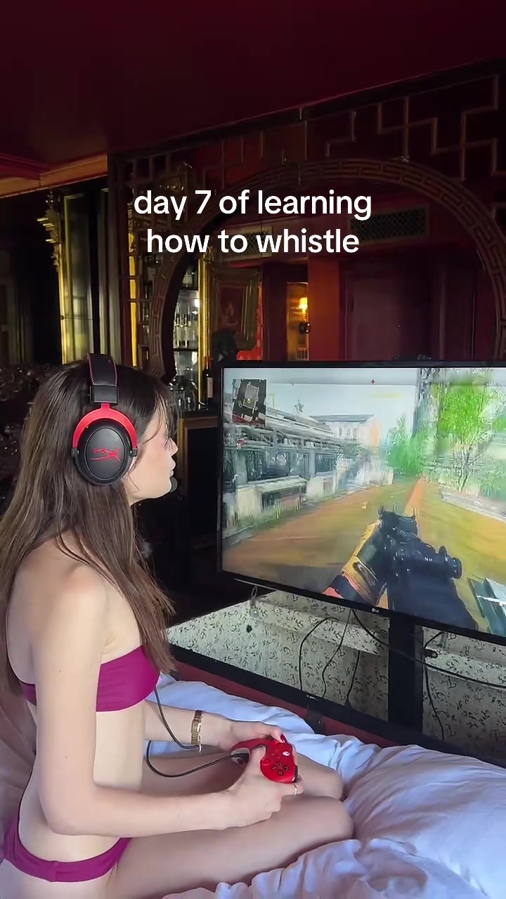 @ceo