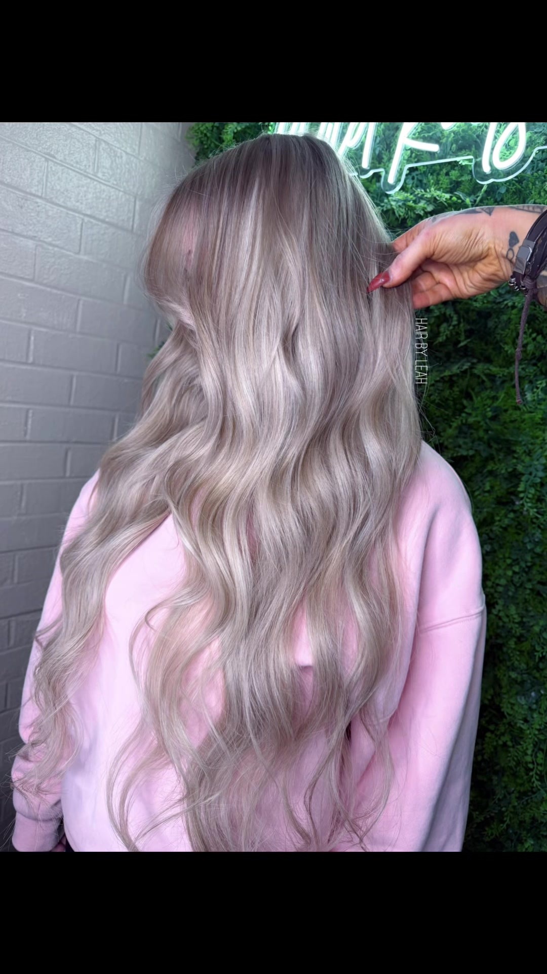 @WILD ROOTS HAIR CO.