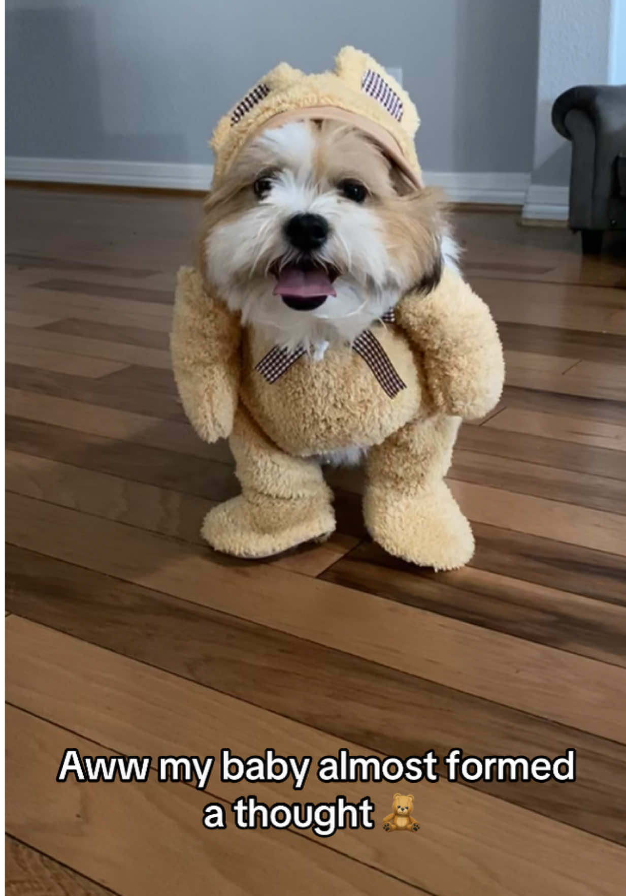 @Bear & Pearl 🐶 🐕&zwj;🦺