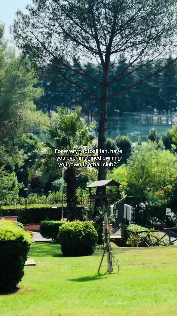 @palmtreeskid