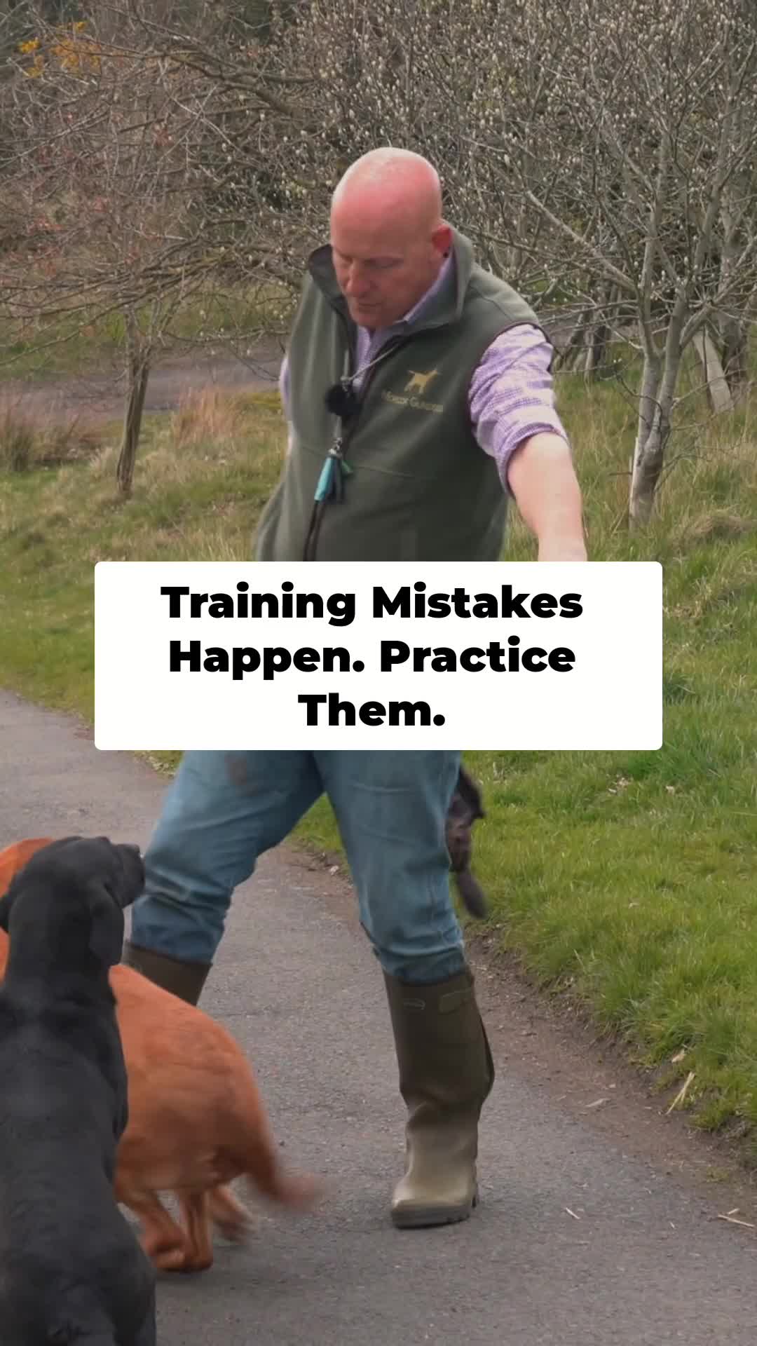 @Mordor Gundogs