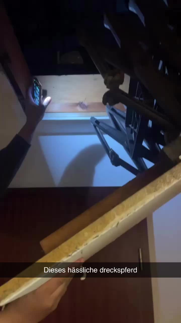 @serina.jkk