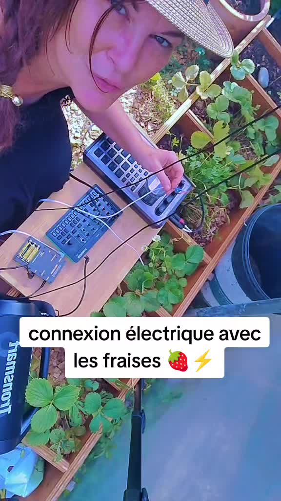 @Dr Free Fréquences