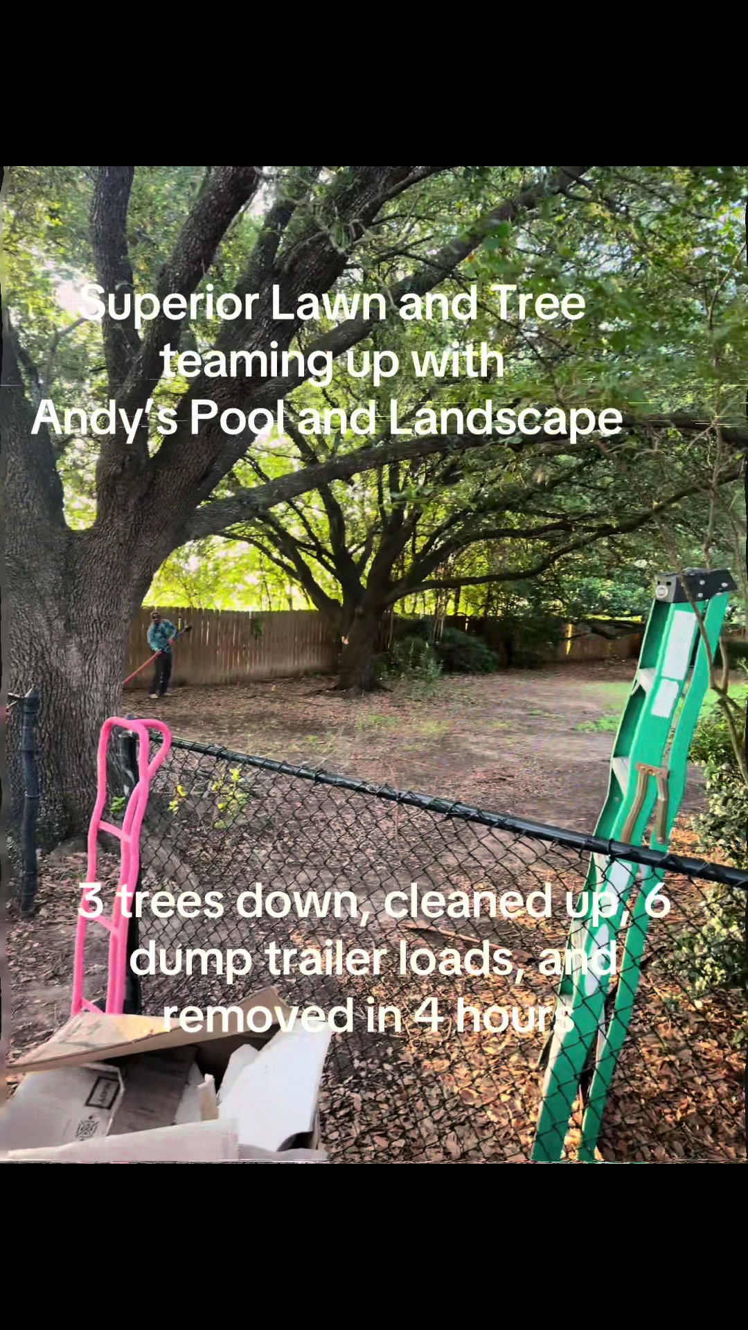 @Superior Lawn and Tree