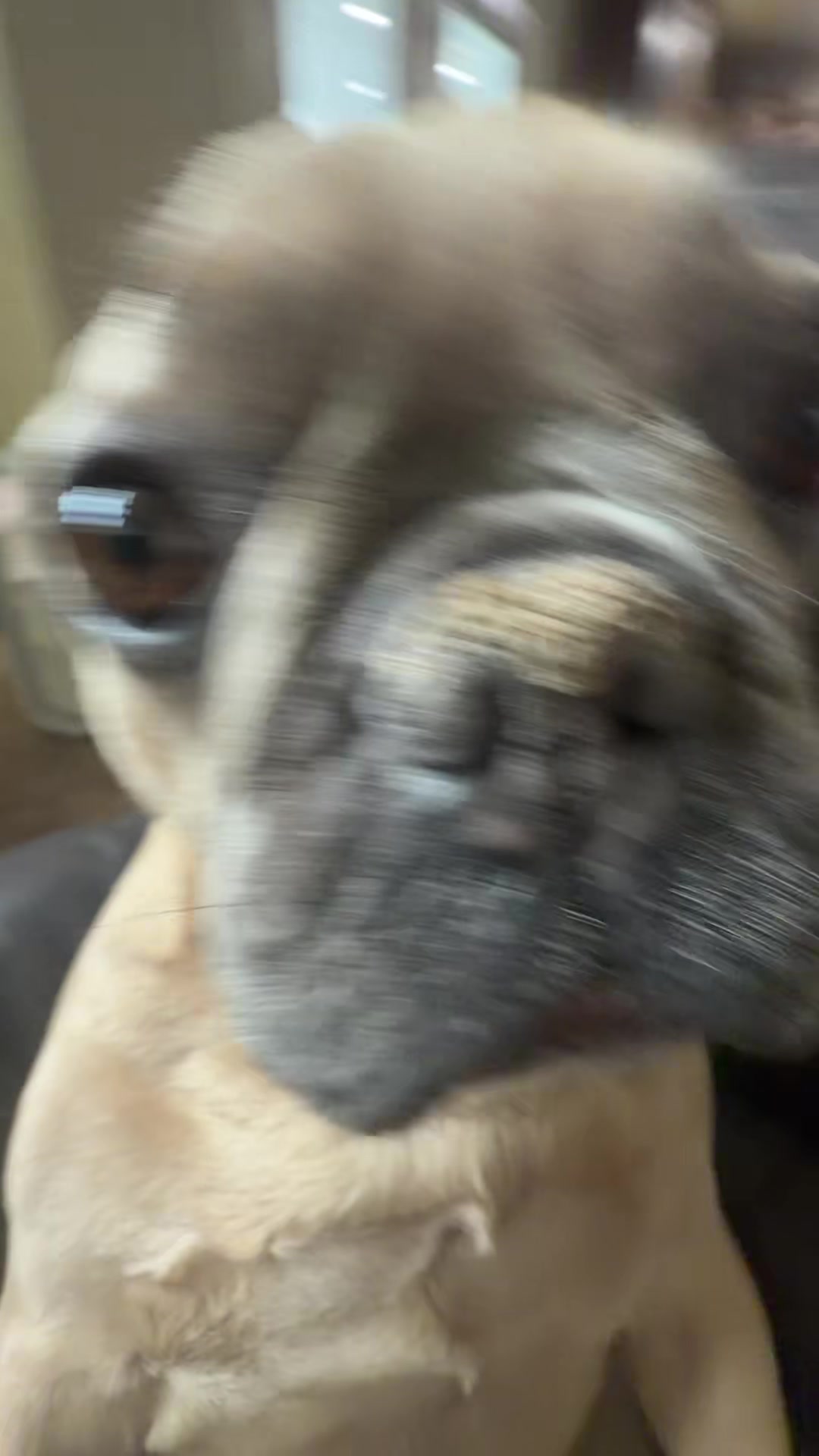 @bentleytheg0at