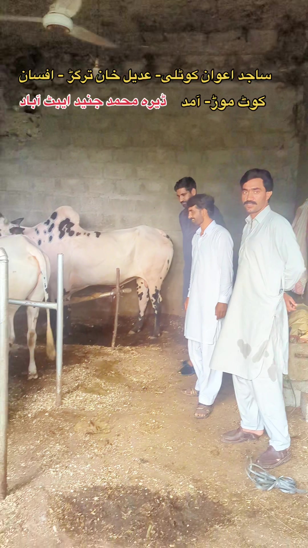 @محمد جنید (ایبٹ آباد)