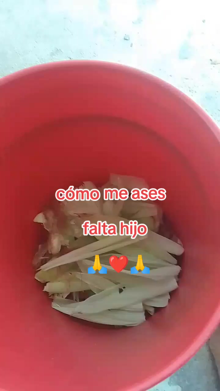 @maribel