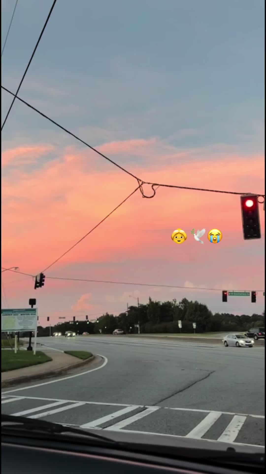 @💗✦ 𝓒𝓱𝓮𝓵𝔂 ✦🎀