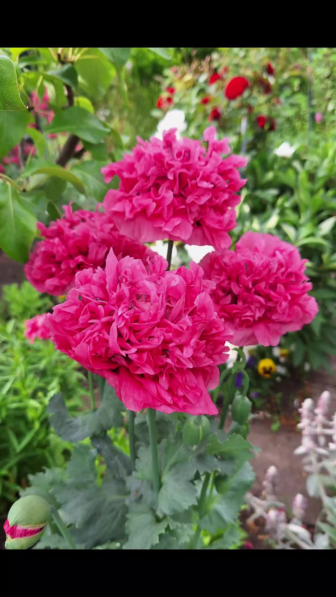 @Natur und Garten