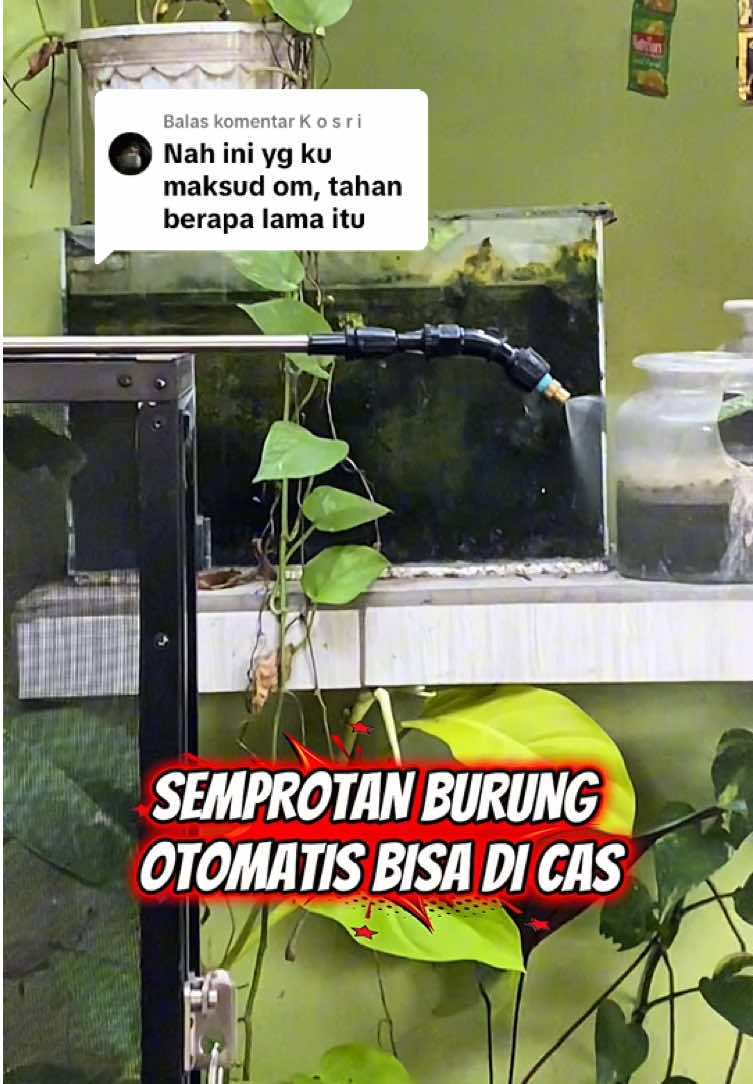 @KICAUNESIA ONLINE