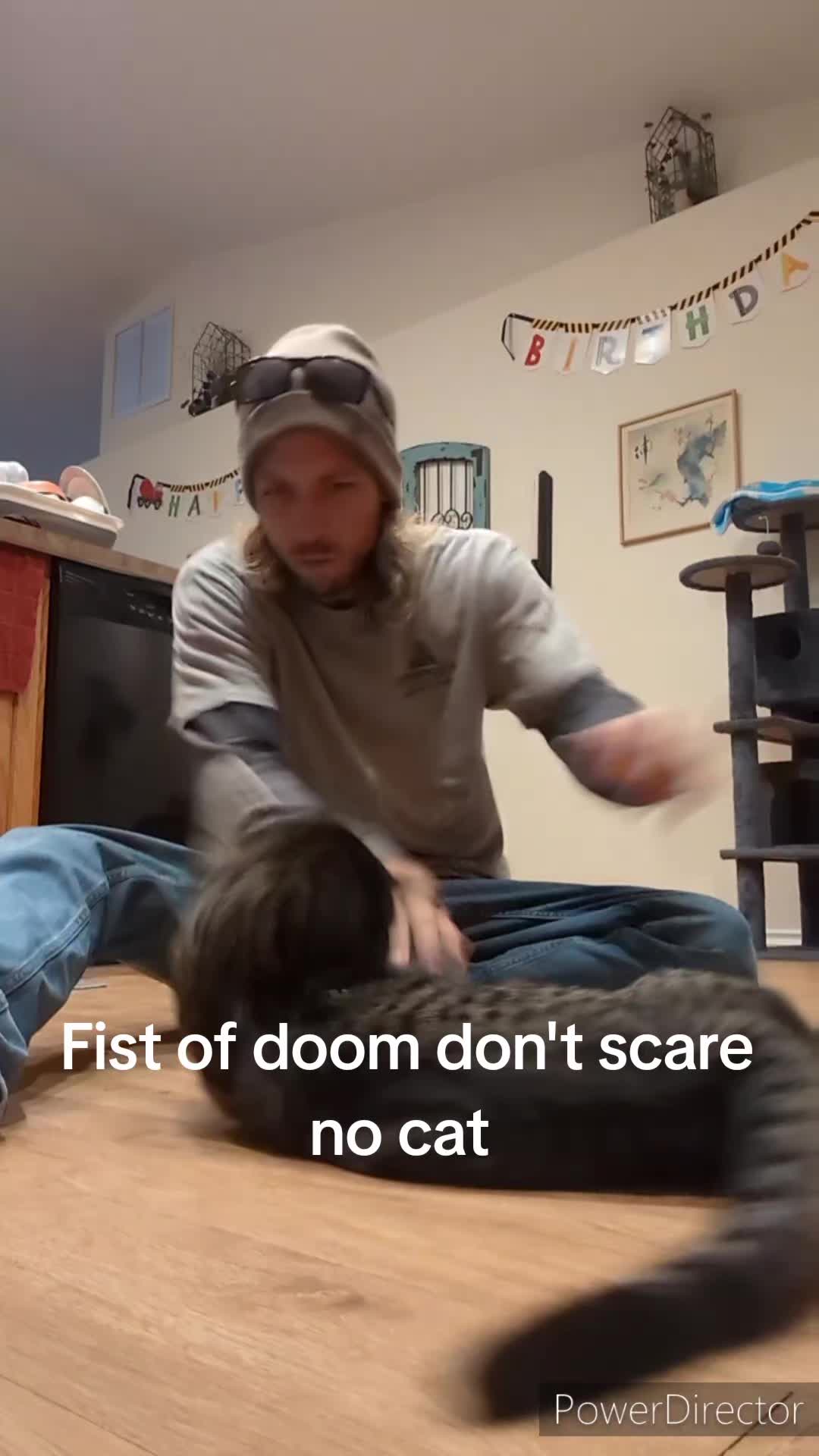 @Rainy the Cat