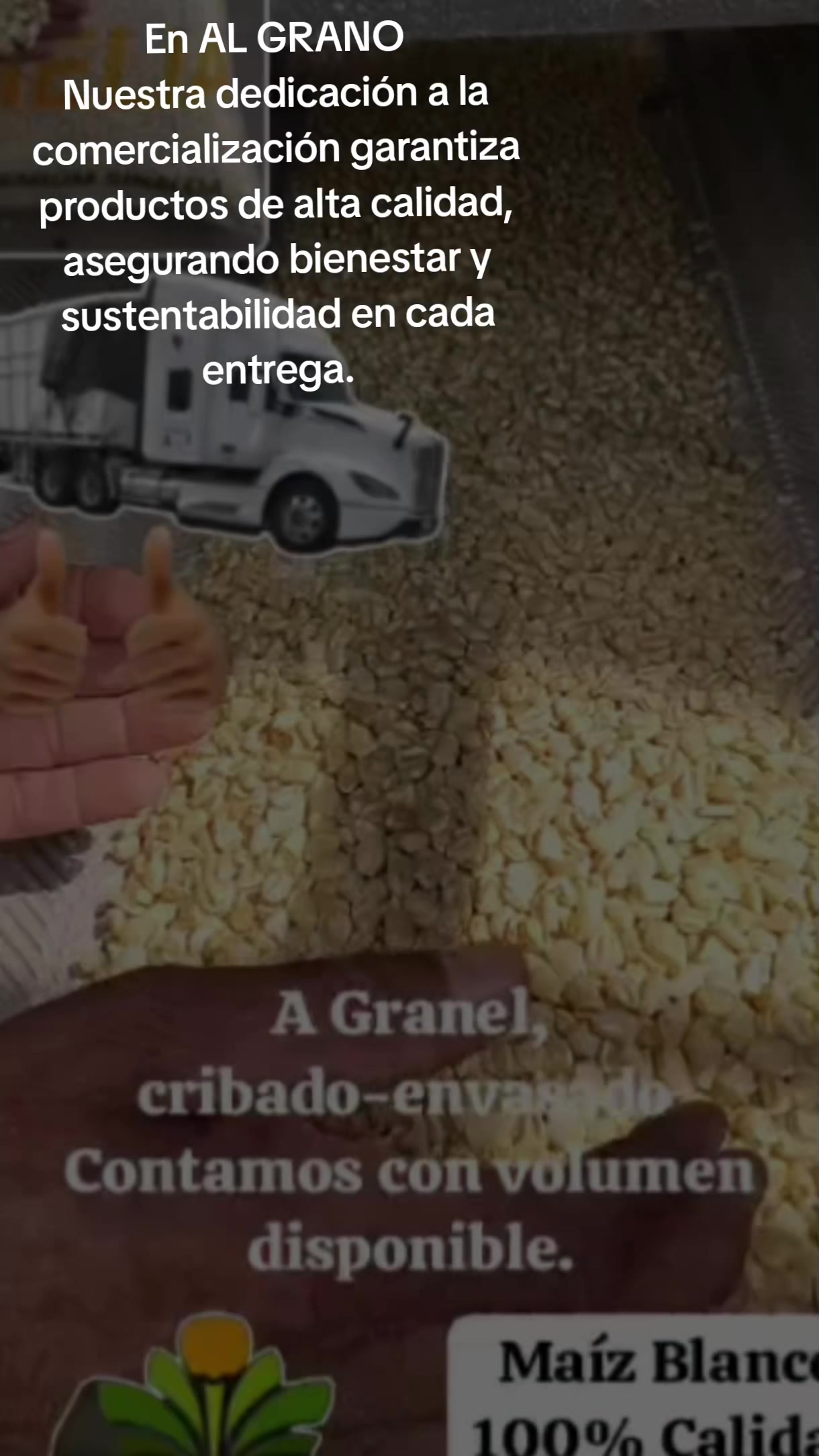 @Mario Diaz