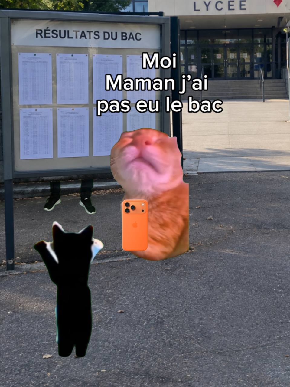 @shorts2chat 😽