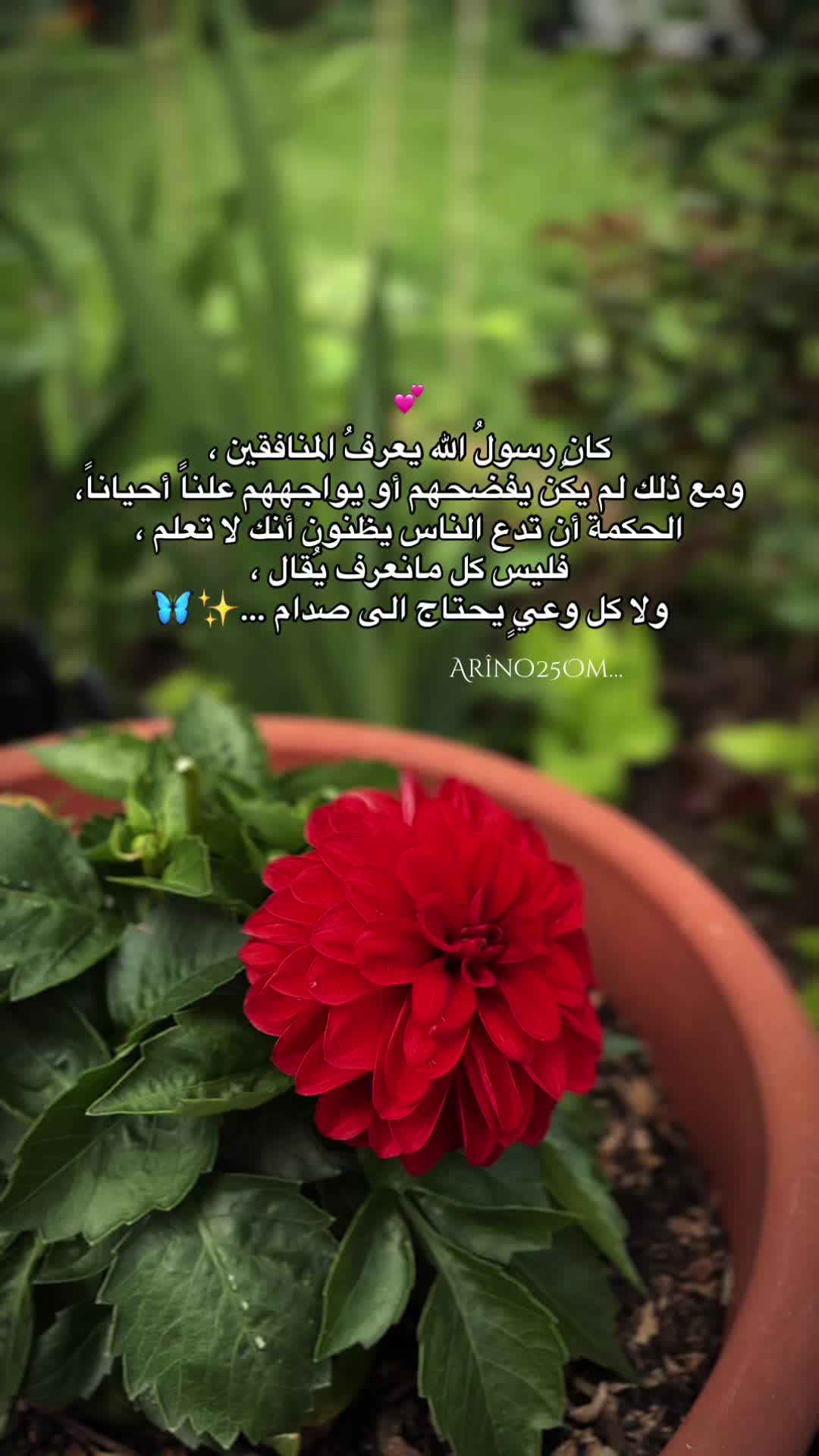 @Arîno25Om