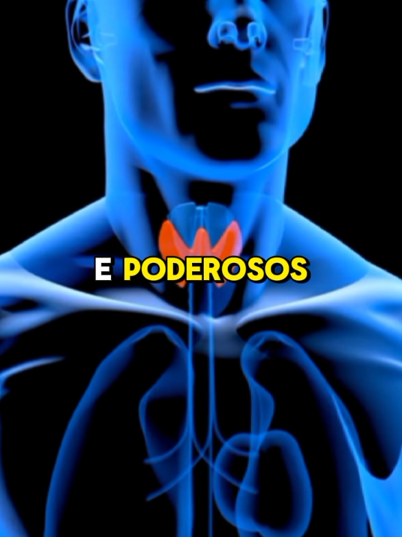 @Vida Saud&aacute;vel