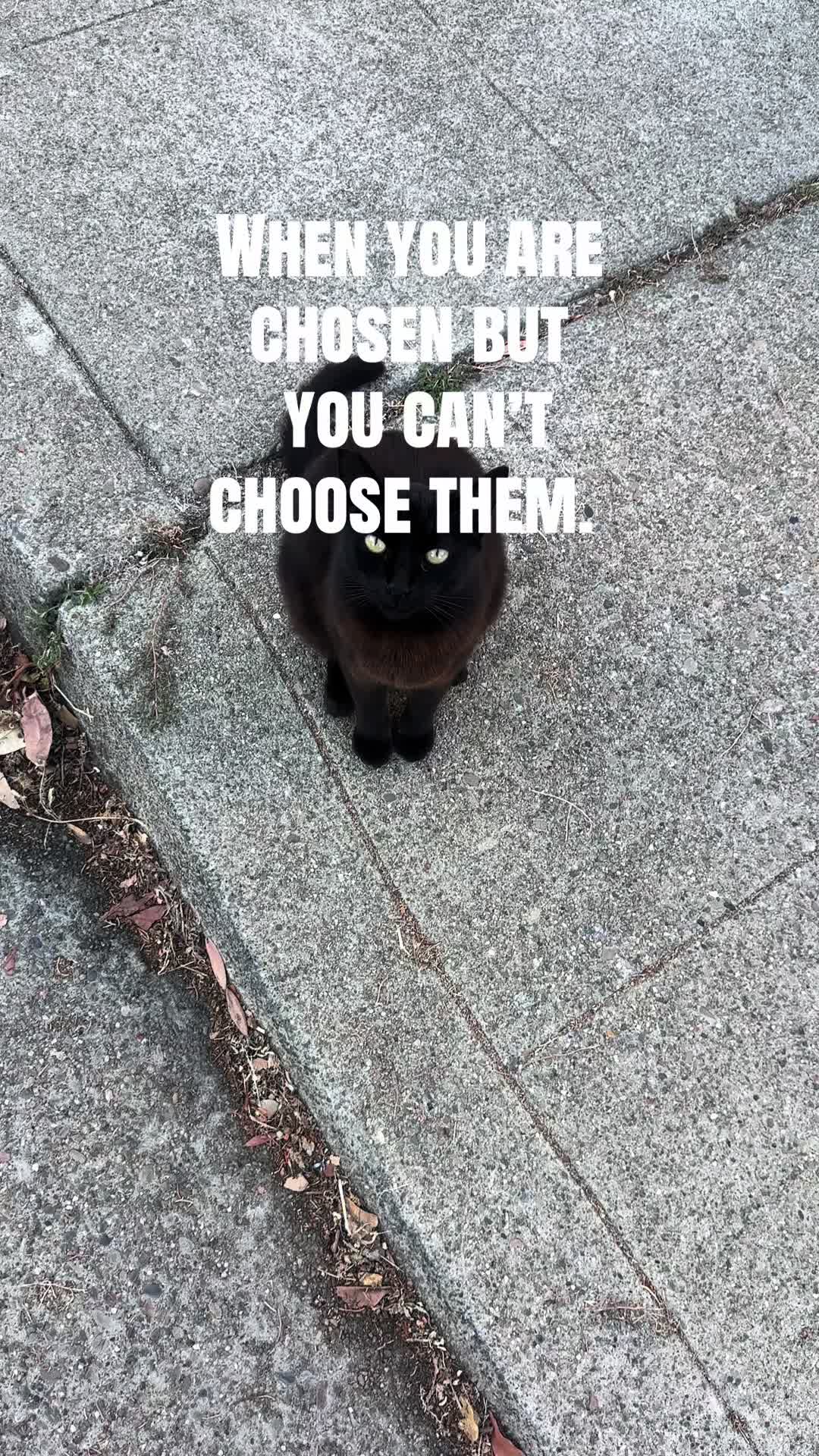 @Natalie