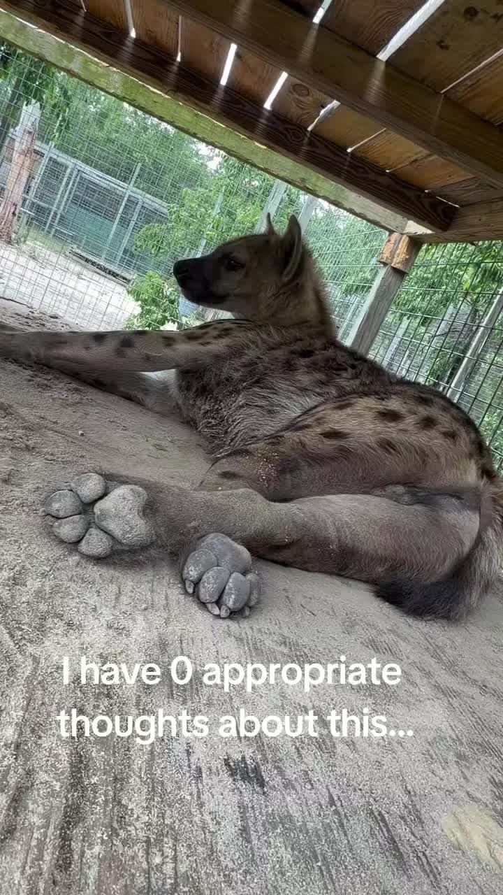 @ZOOMF! ◣ζ◥