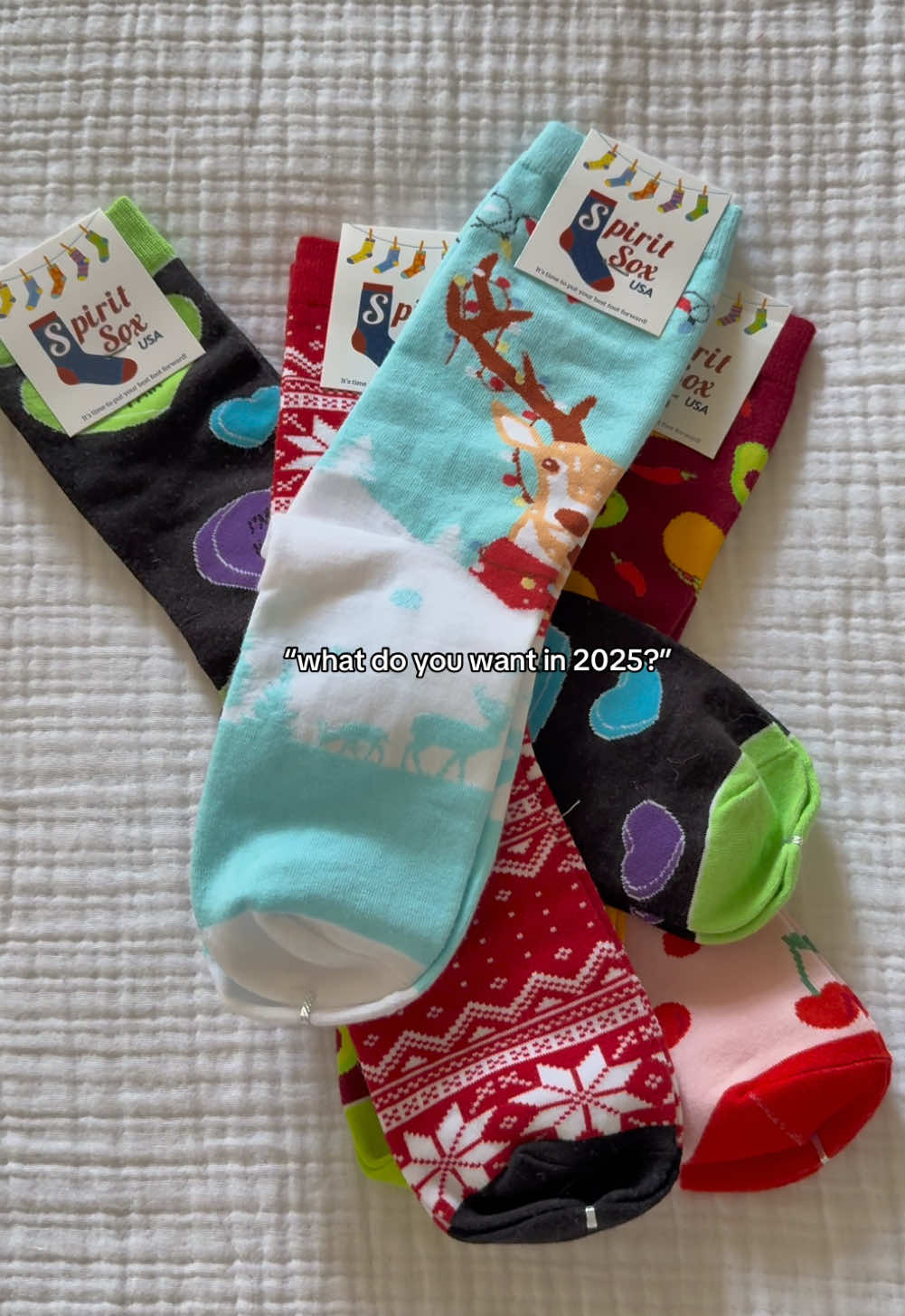 @Spirit Sox USA