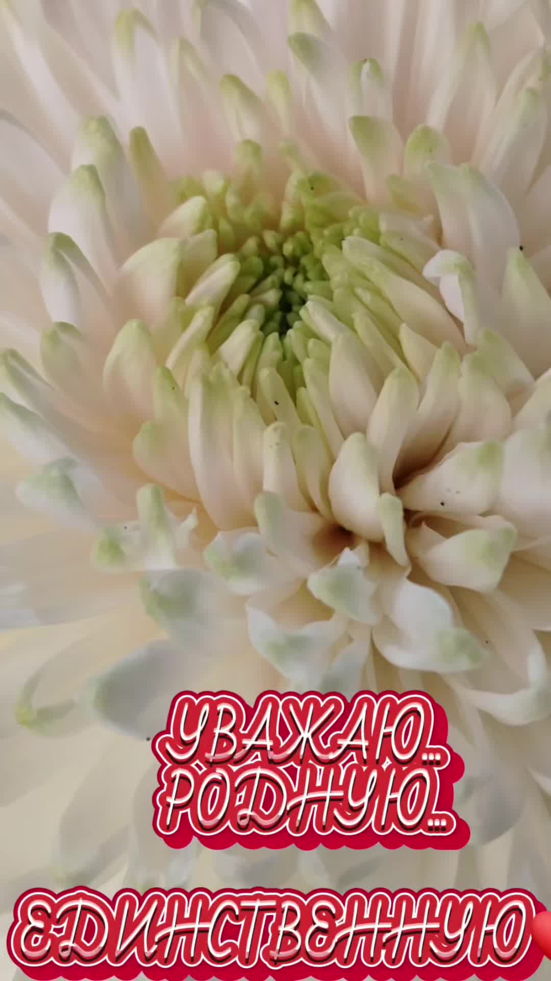@Сергей