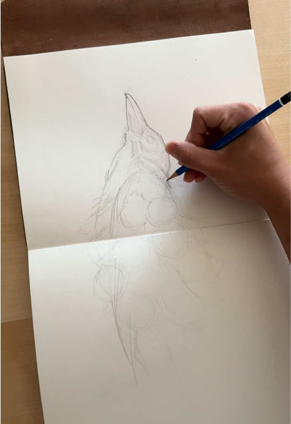 @NewStory_Art