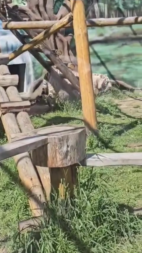 @Анастасия Романовская