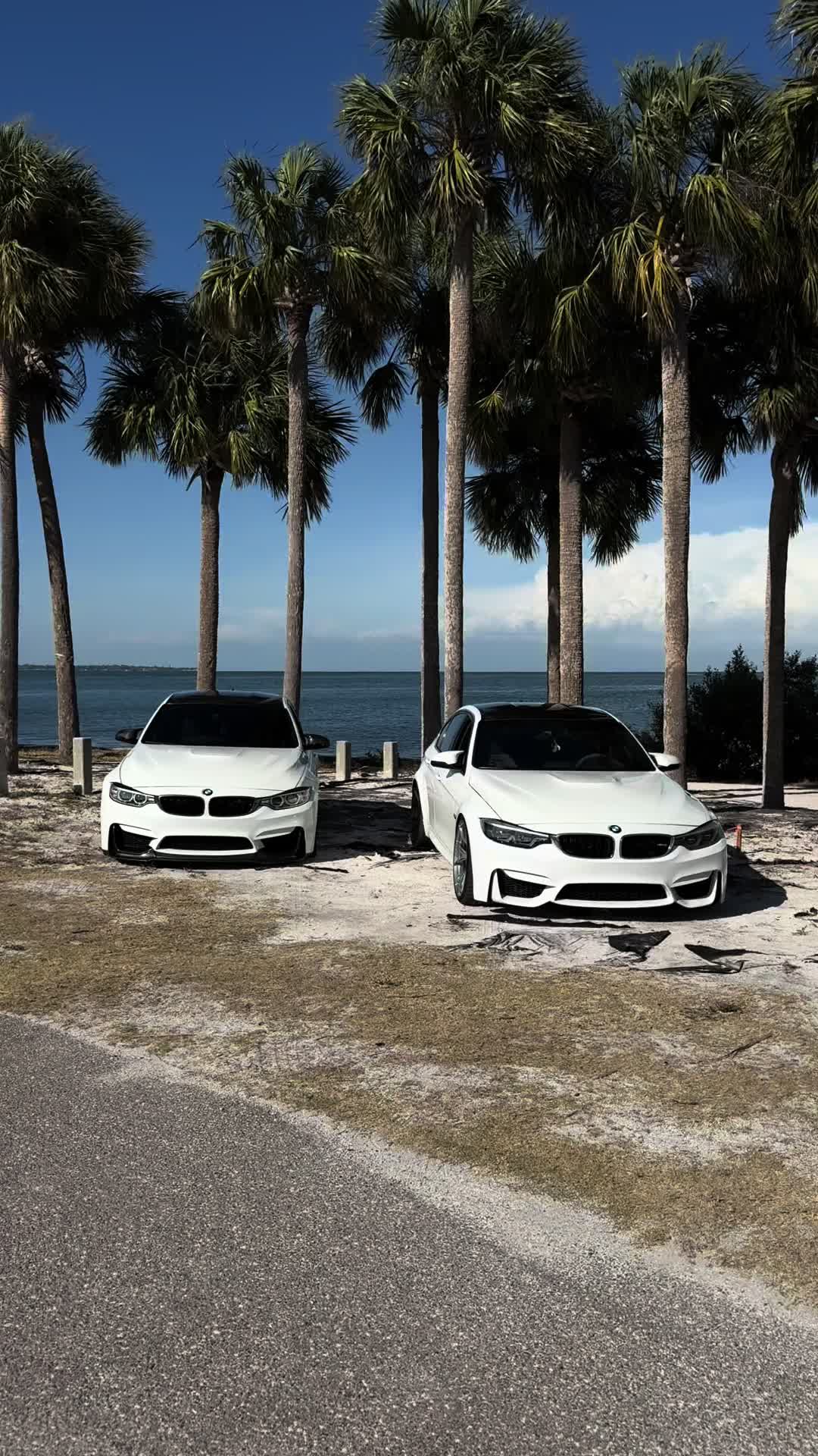 @f80andy_