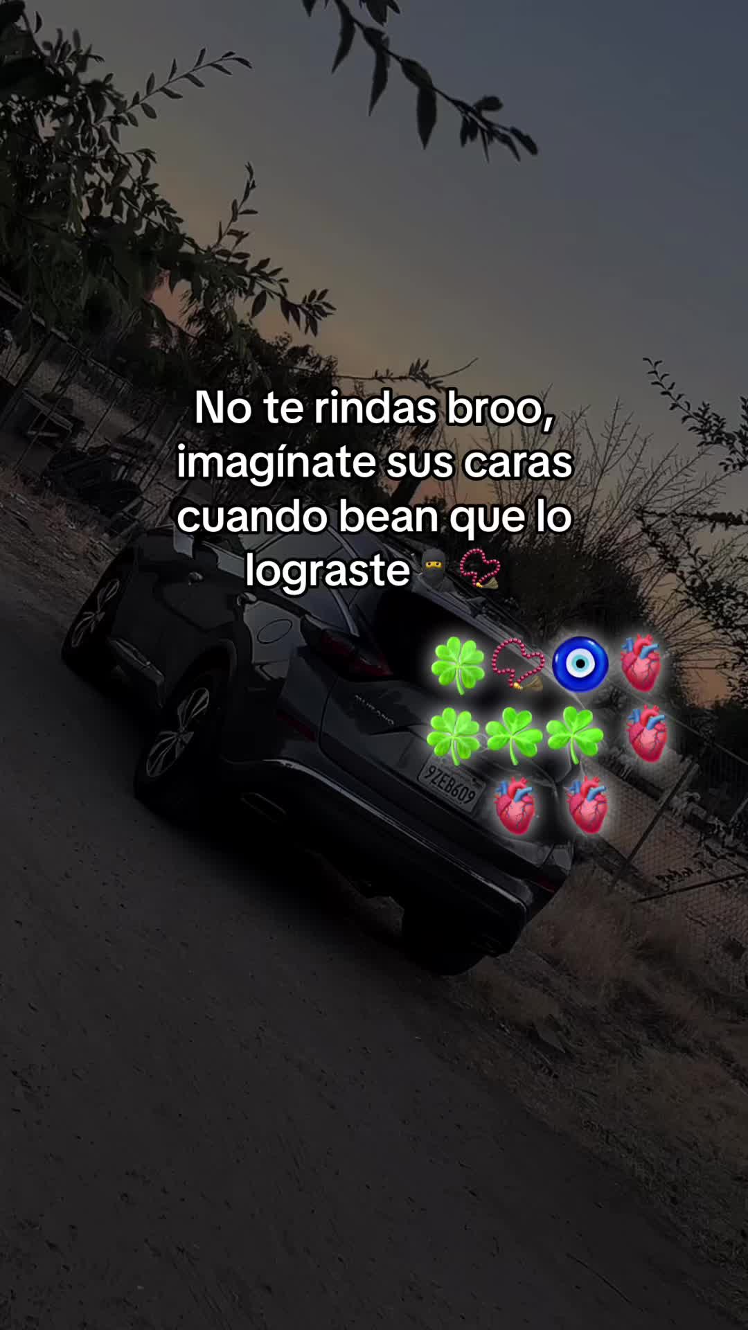 @Carnalito  4.20_🍀🎱