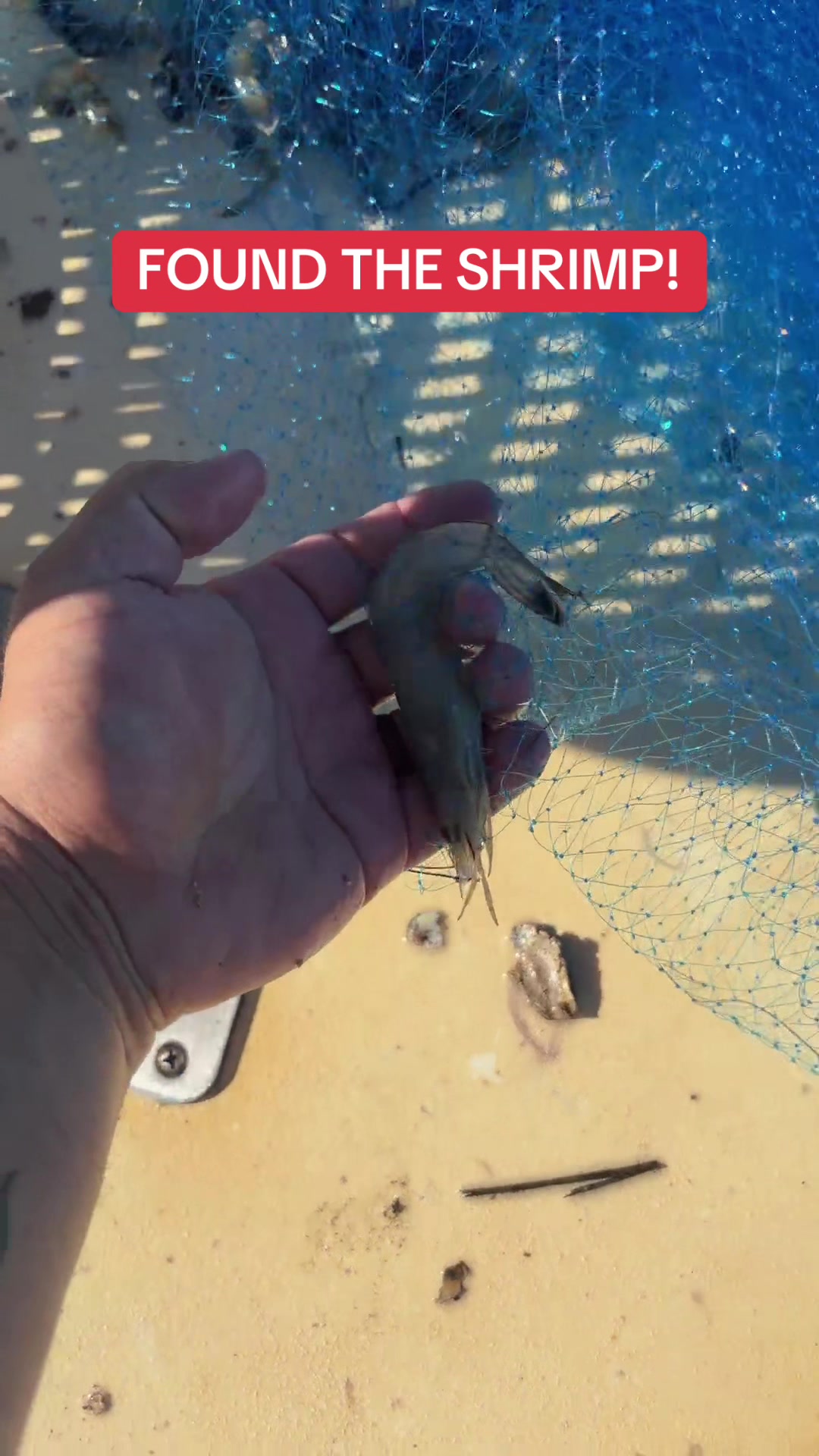 @BeaufortSC_Bait