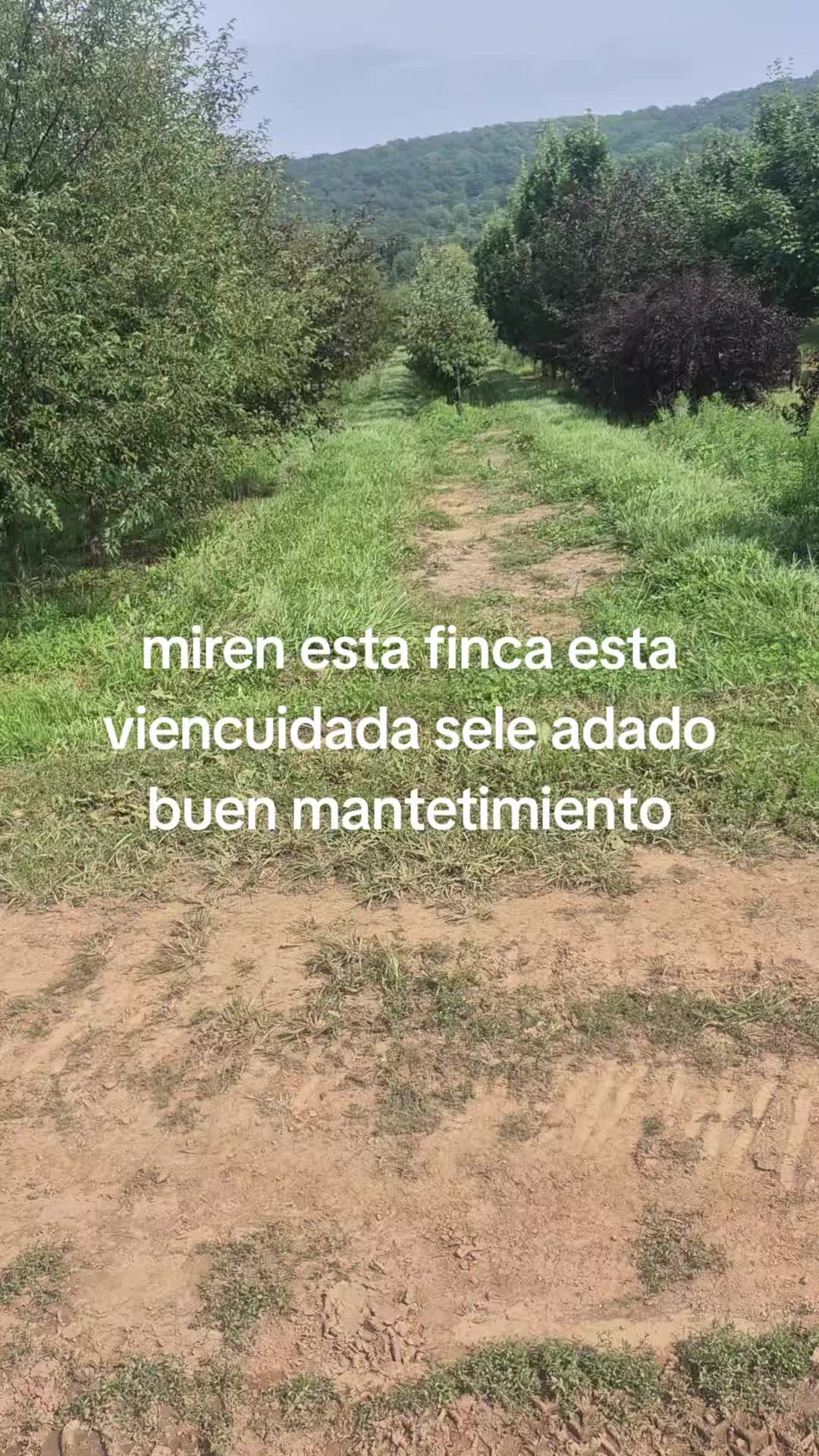 @hernan navarete