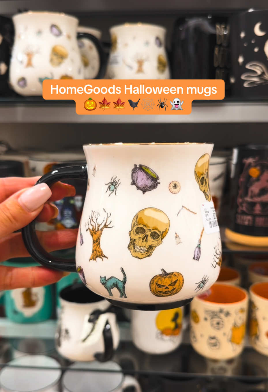 @AllHallowsWitchh (Michelle)