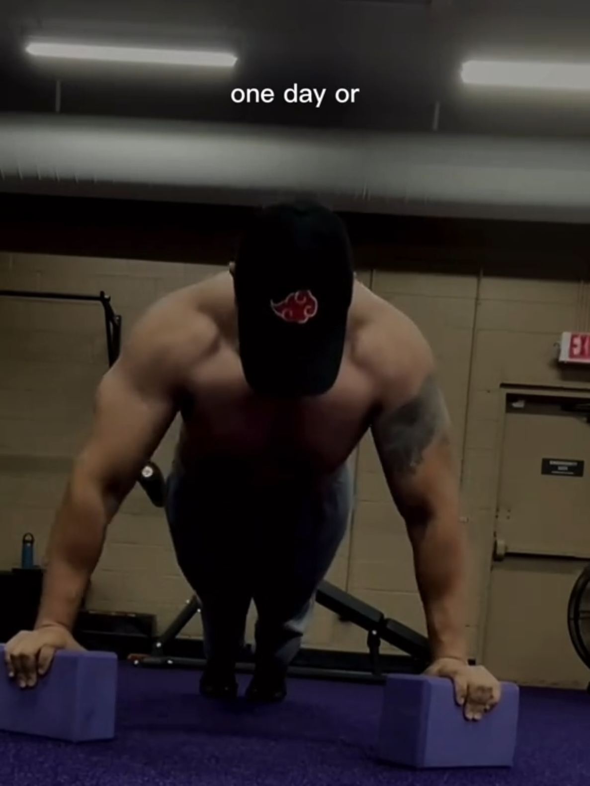@Lokiswole