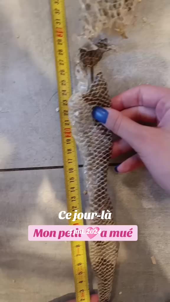 @๐ท๐๐๐๐๐ ๐๐๐ ๐๐๐๐๐