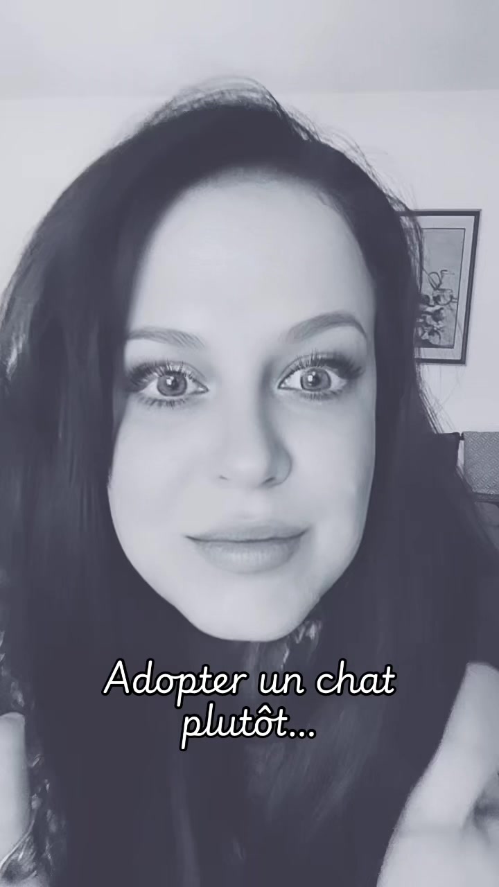 @ELFriends88