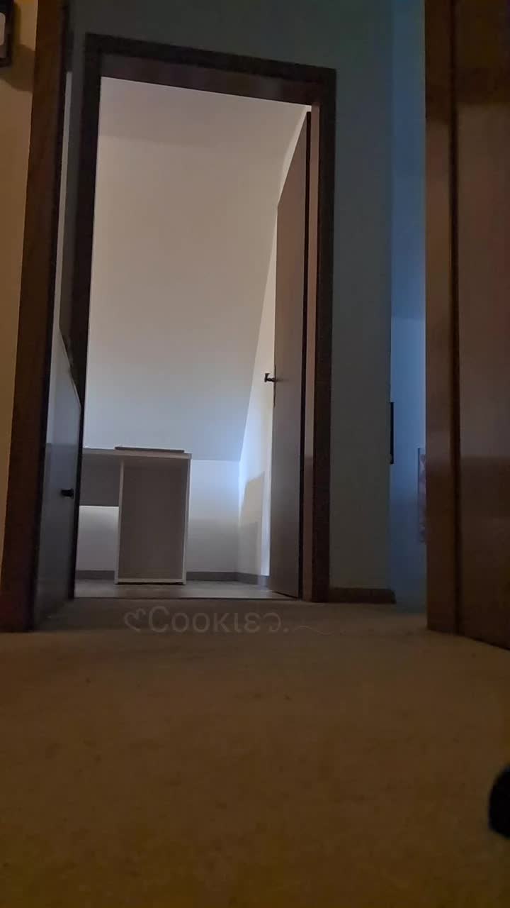 @𑣲С&omicron;&omicron;к&iota;&epsilon;᭡.𓂃