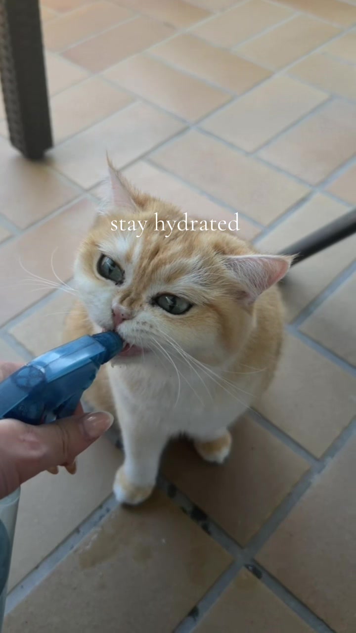 @simone