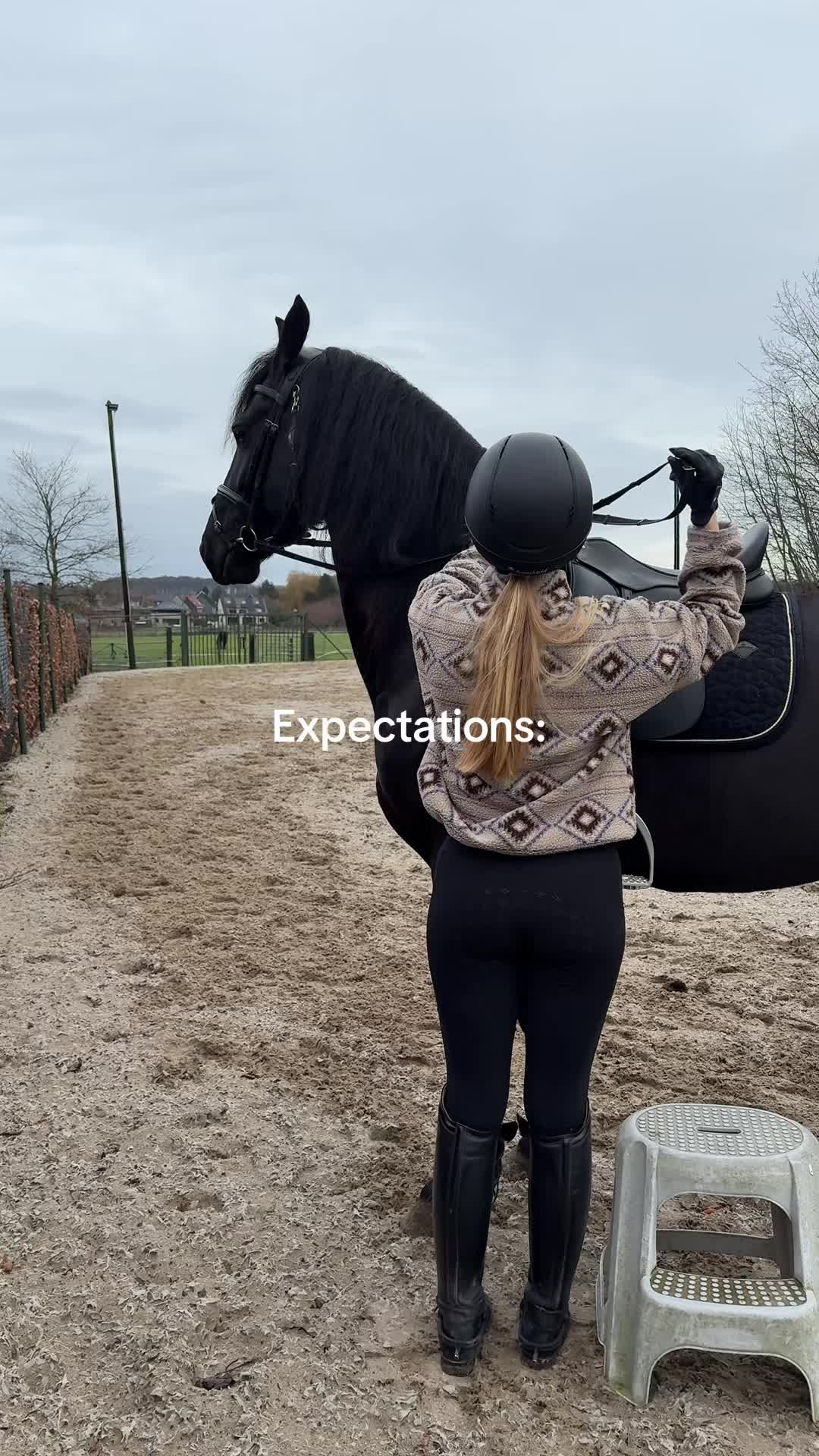 @Phoebe Tack Dressage