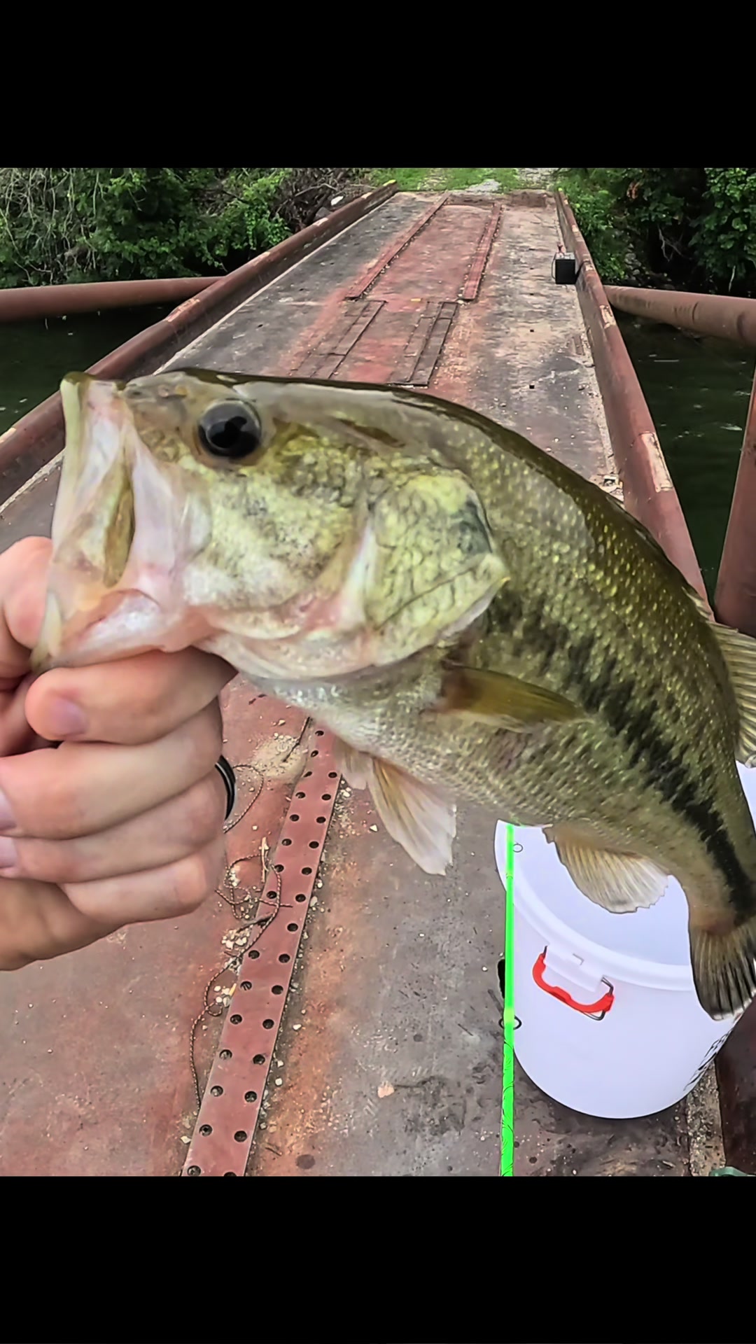 @Dunamis Angling