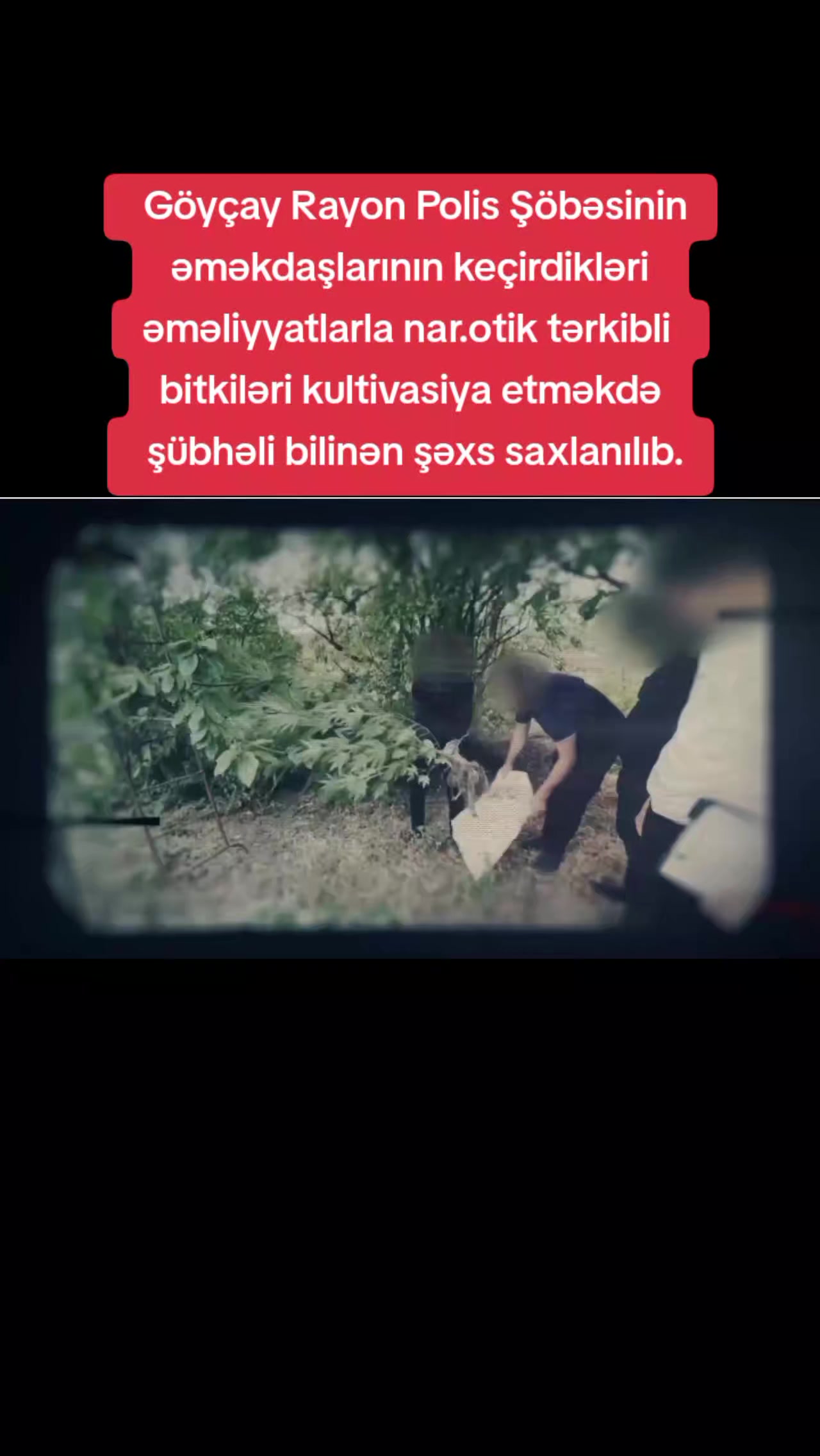 @Göyçay Operativ Xəbər
